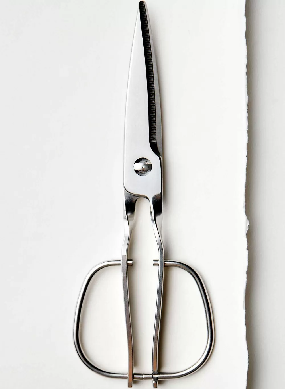 Home & Scent^imogene+willie Japanese Stainless Steel Kitchen Shears